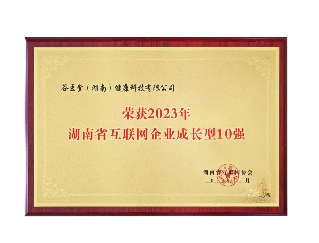 2023年湖南省互联网企业成长10强